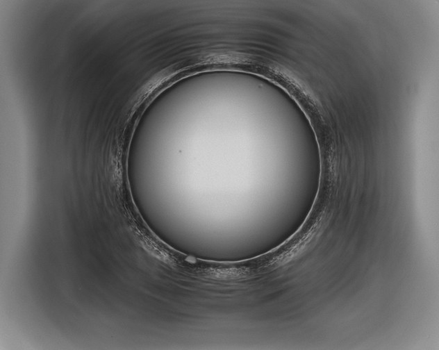 X0000116601025200912181142