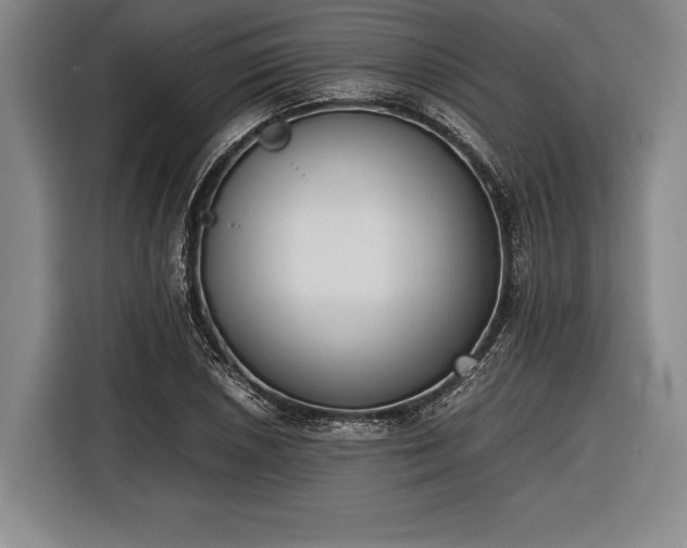 X0000116601026200912181142