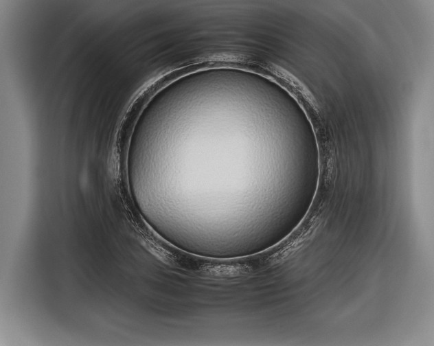 X0000116601027200912181142