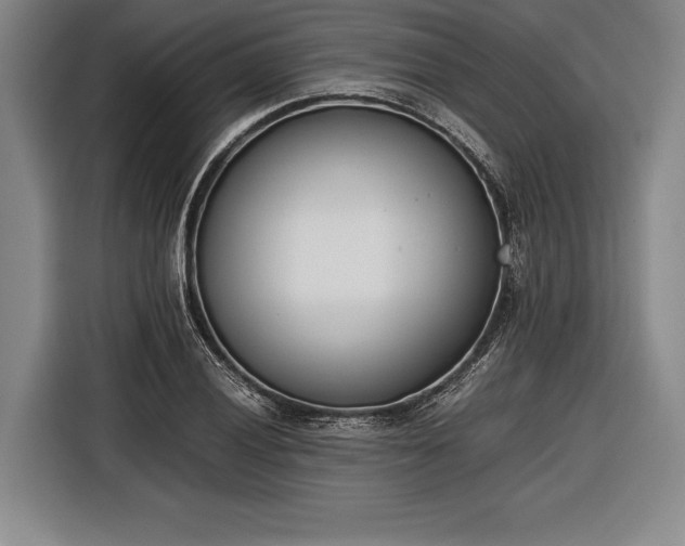 X0000116601028200912181142