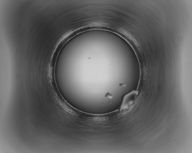X0000116601029200912181142