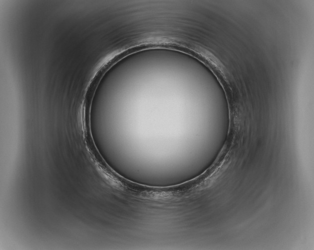 X0000116601030200912181142