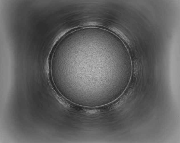 X0000116601031200912181142