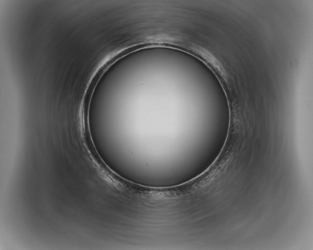 X0000116601032200912181142