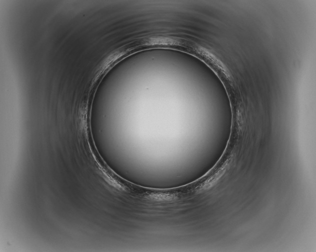 X0000116601033200912181142