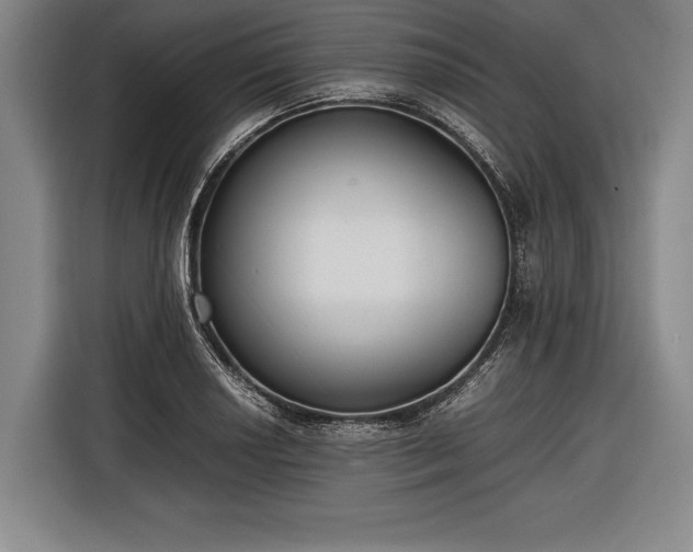 X0000116601034200912181142