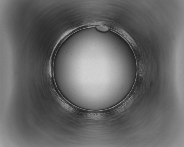 X0000116601036200912181142
