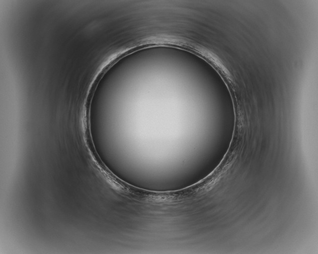 X0000116601040200912181142