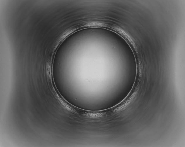 X0000116601041200912181142