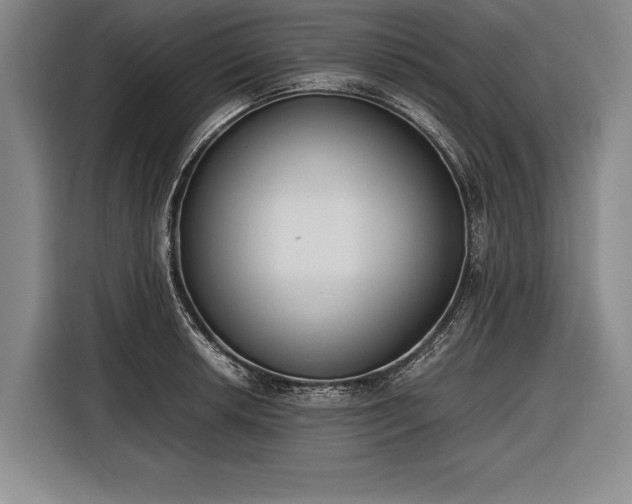 X0000116601042200912181142