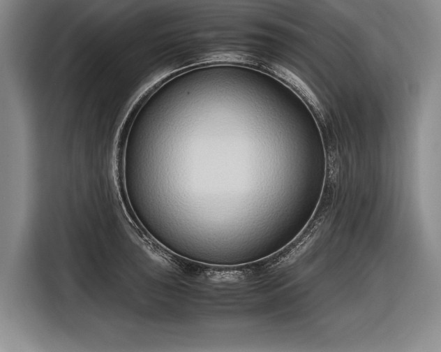 X0000116601043200912181142