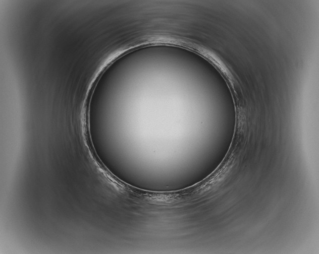 X0000116601048200912181142