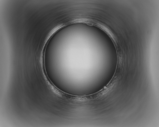 X0000116601050200912181142