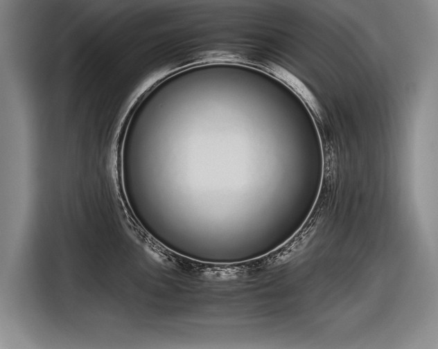 X0000116601051200912181142