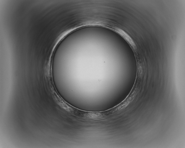 X0000116601052200912181142