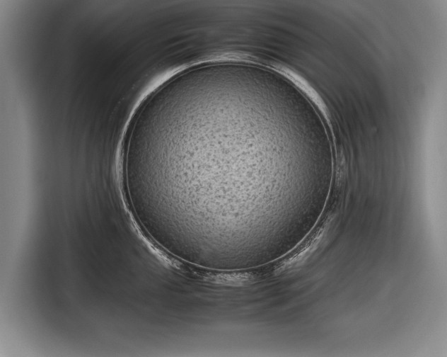 X0000116601053200912181142