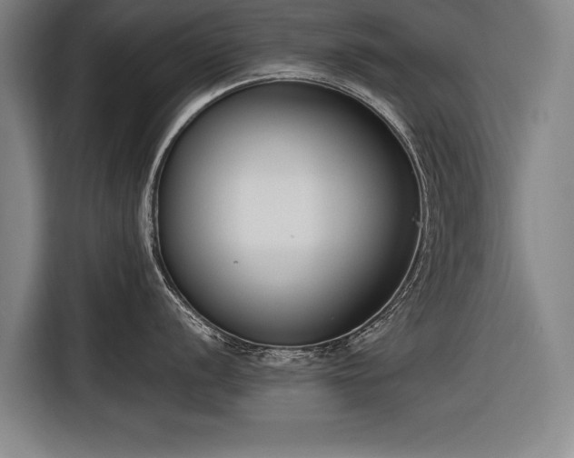 X0000116601056200912181142