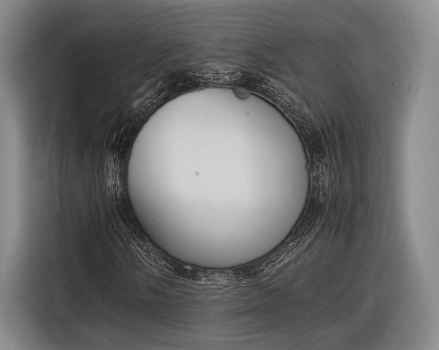X0000116601058200912181141