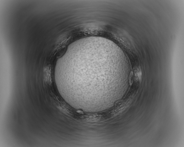 X0000116601060200912181141
