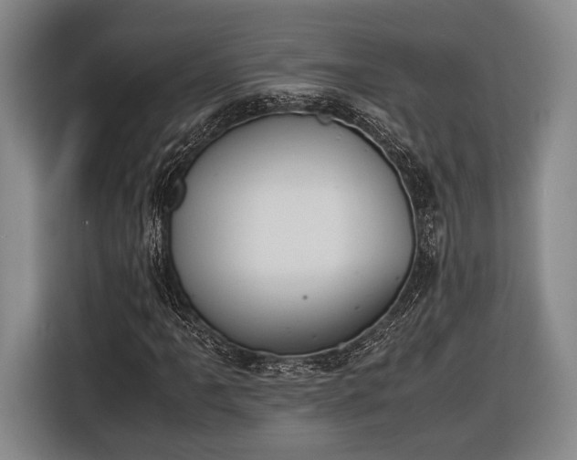 X0000116601061200912181141