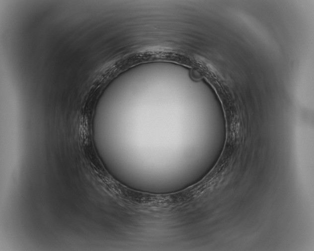 X0000116601062200912181141
