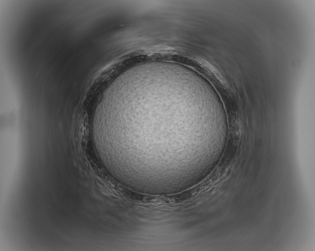 X0000116601063200912181141