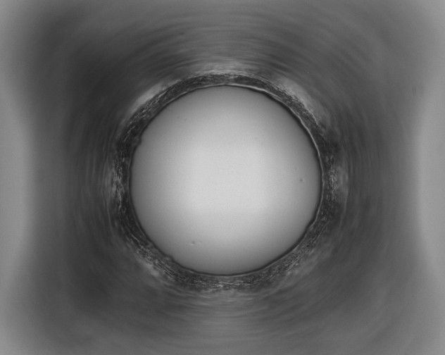X0000116601064200912181141