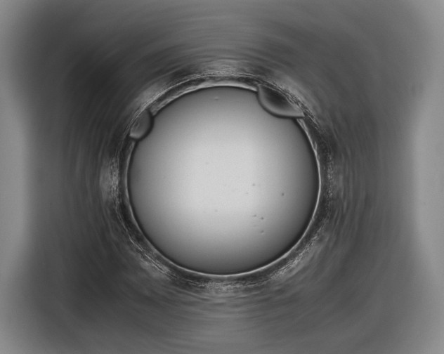 X0000116601065200912181141