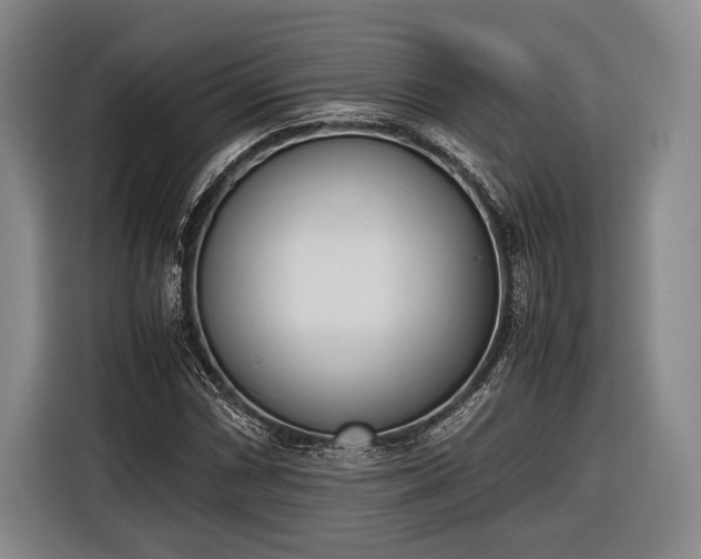 X0000116601066200912181141