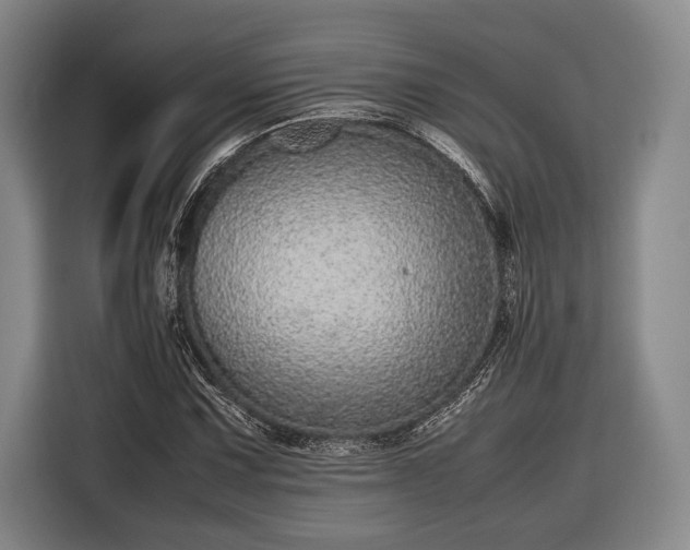 X0000116601067200912181141