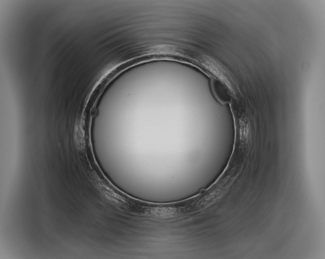 X0000116601068200912181141