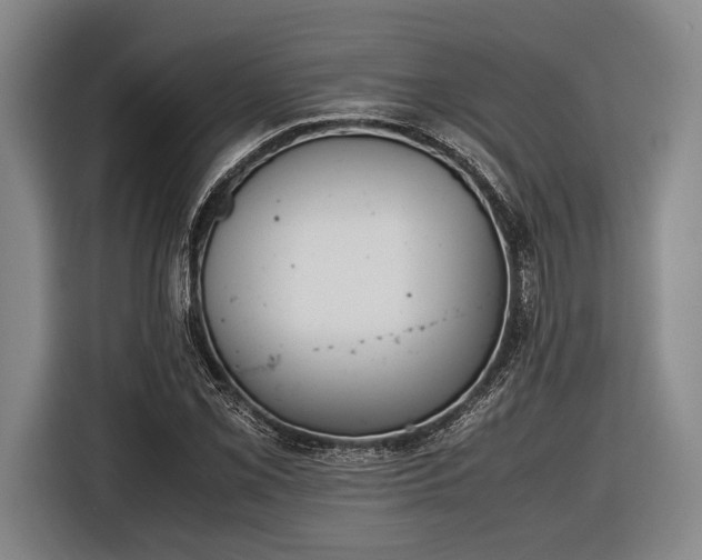 X0000116601069200912181141