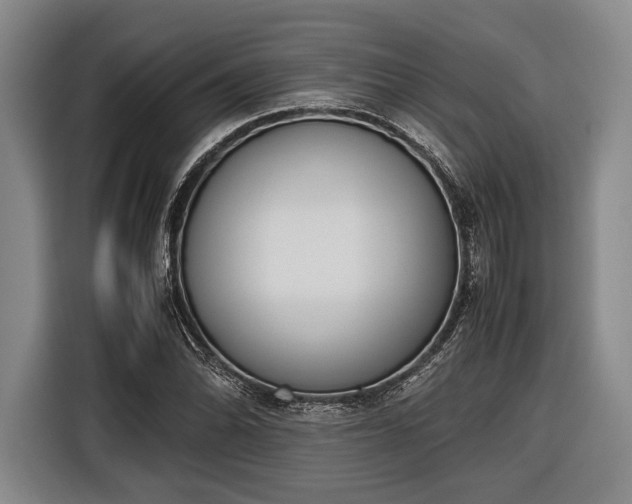 X0000116601070200912181141