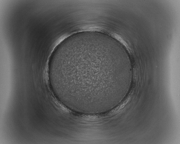X0000116601071200912181141