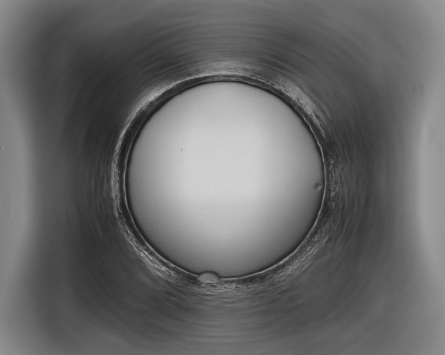 X0000116601072200912181141