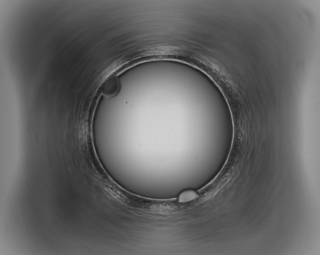 X0000116601073200912181141