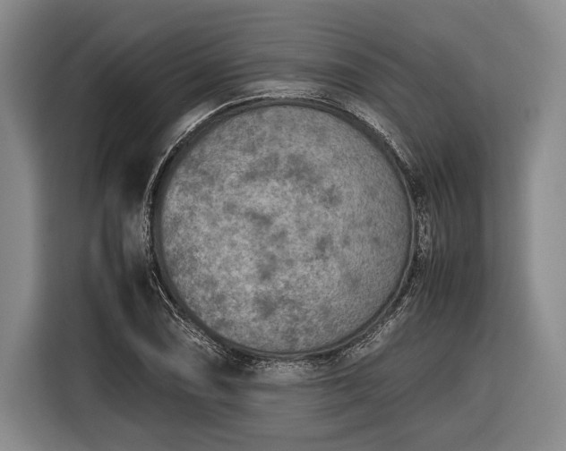 X0000116601074200912181141