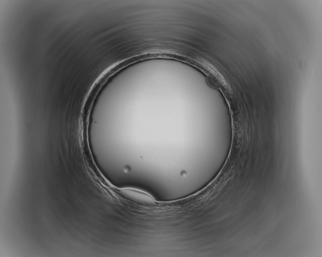 X0000116601076200912181141