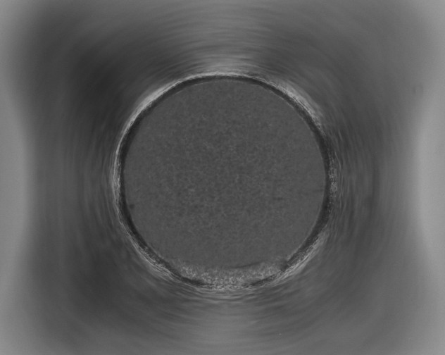 X0000116601077200912181141