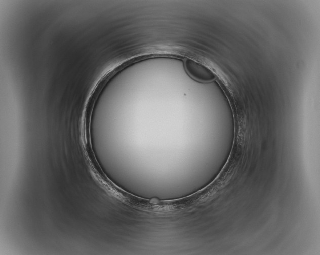 X0000116601080200912181141