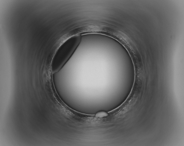 X0000116601081200912181141