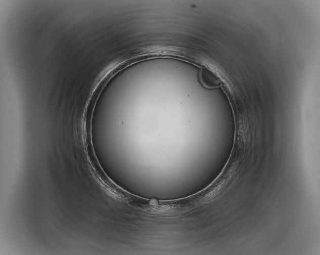 X0000116601082200912181141