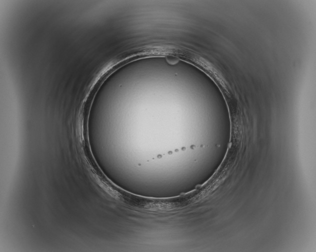 X0000116601083200912181141