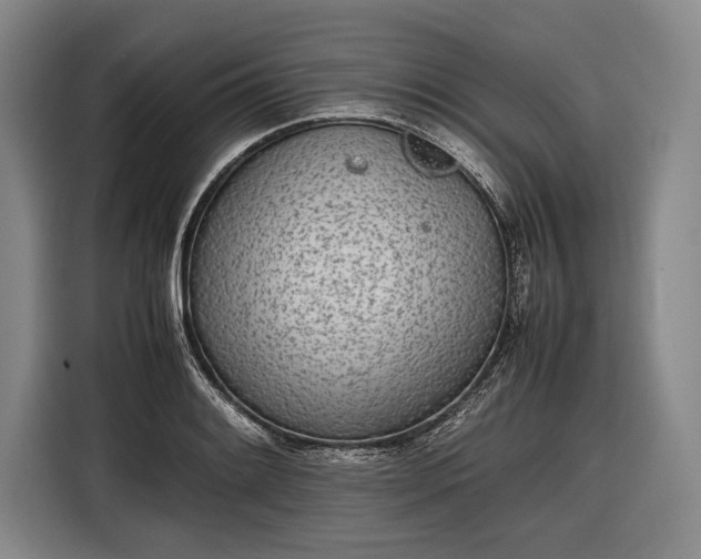 X0000116601084200912181141