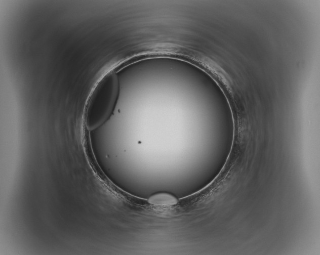 X0000116601085200912181141