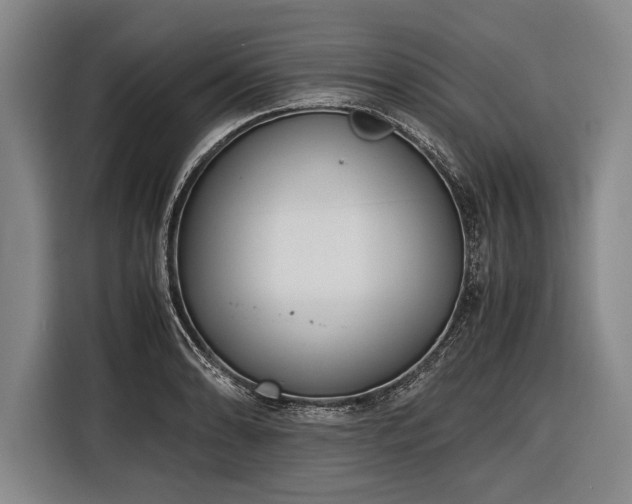 X0000116601086200912181141