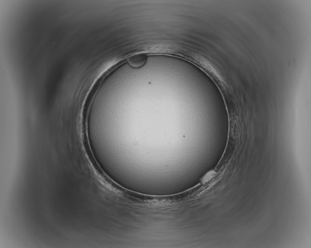 X0000116601087200912181141