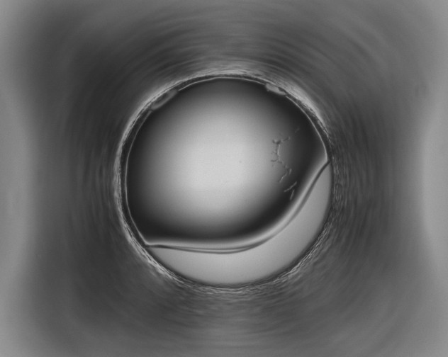 X0000116601088200912181141