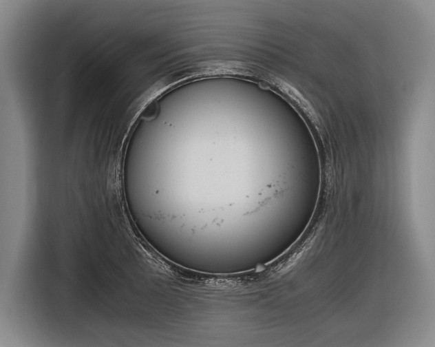 X0000116601089200912181141