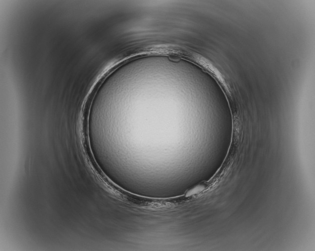 X0000116601091200912181141